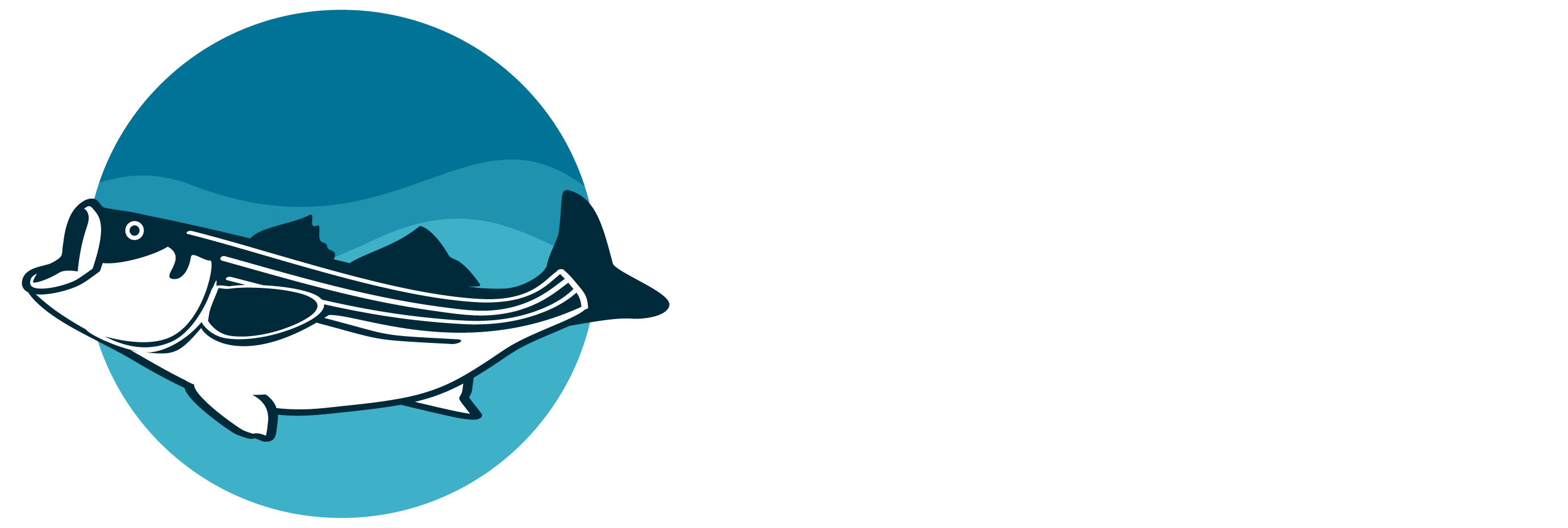 Striped Bass Magic